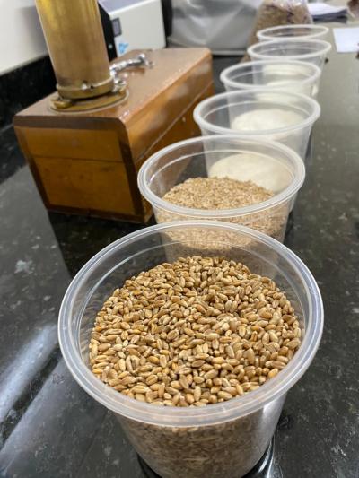 Acadêmicos da UFFS realizam visita técnica no Moinho Coprossel, em Laranjeiras do Sul